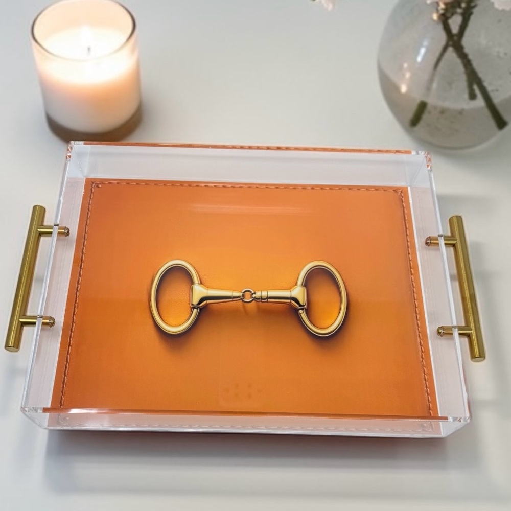 New Horsebit Horse Bit horse  Lover Equestrian Acrylic Tray